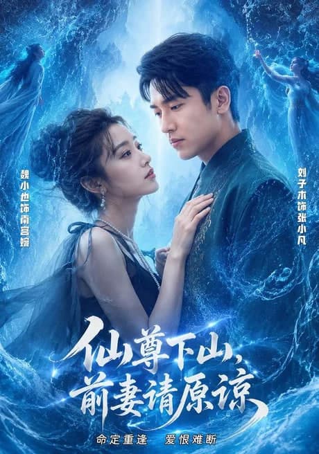 仙尊下山，前妻请原谅海报