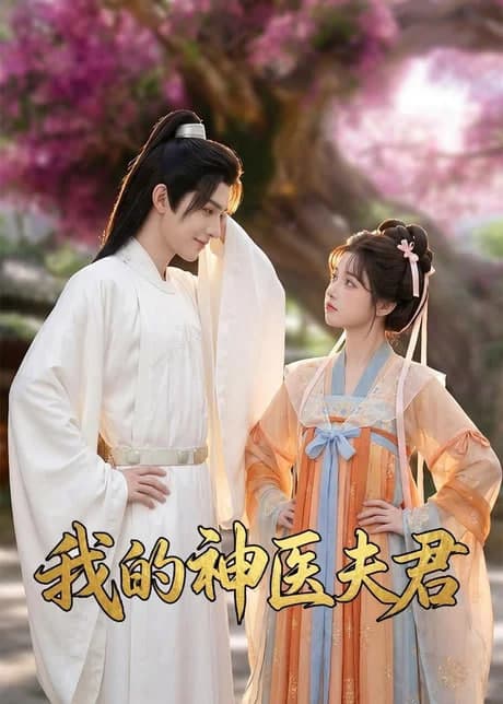 我的神医夫君海报