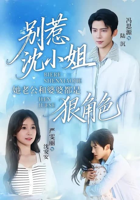 别惹沈小姐她老公和婆婆都是狠角色海报
