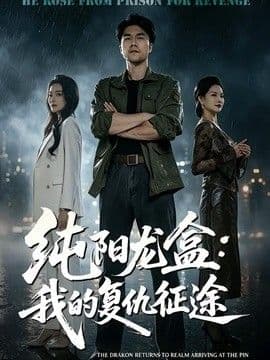 纯阳龙盒：我的复仇征途海报
