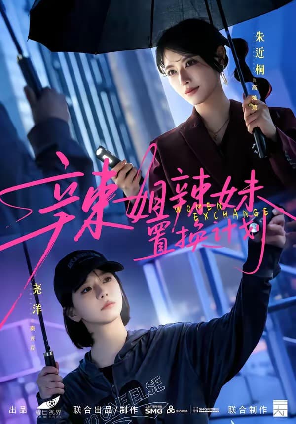 辣姐辣妹置换计划海报