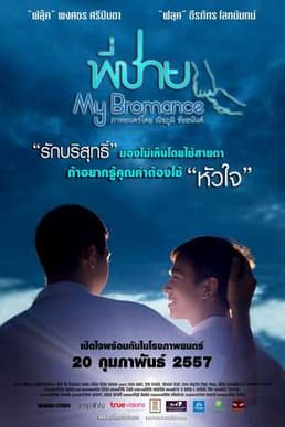 我的兄弟情人海报