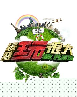 综艺玩很大海报