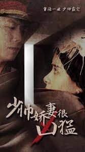 少帅娇妻很凶猛海报