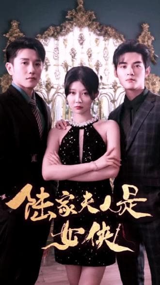 陆家夫人是女侠海报
