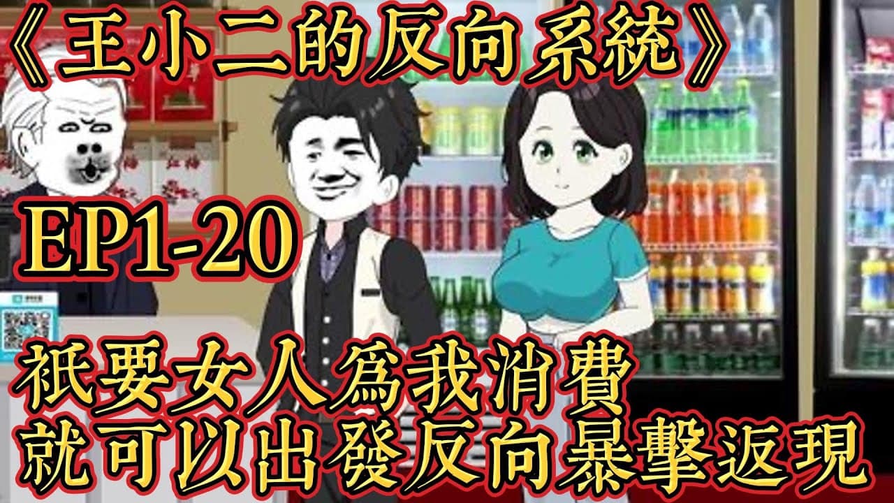王小二的反向系统海报