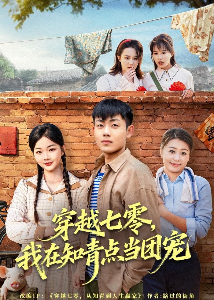 穿越七零，我在知青点当团宠海报