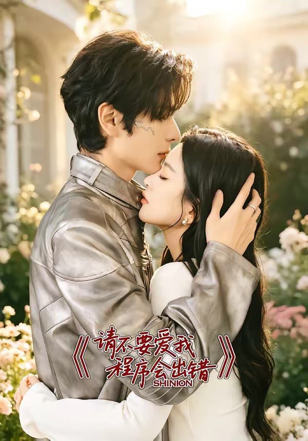 请不要爱我，程序会出错海报