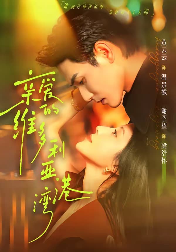 亲爱的维多利亚港湾海报