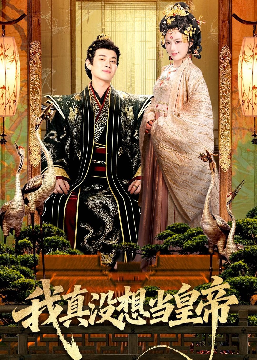 我真没想当皇帝海报