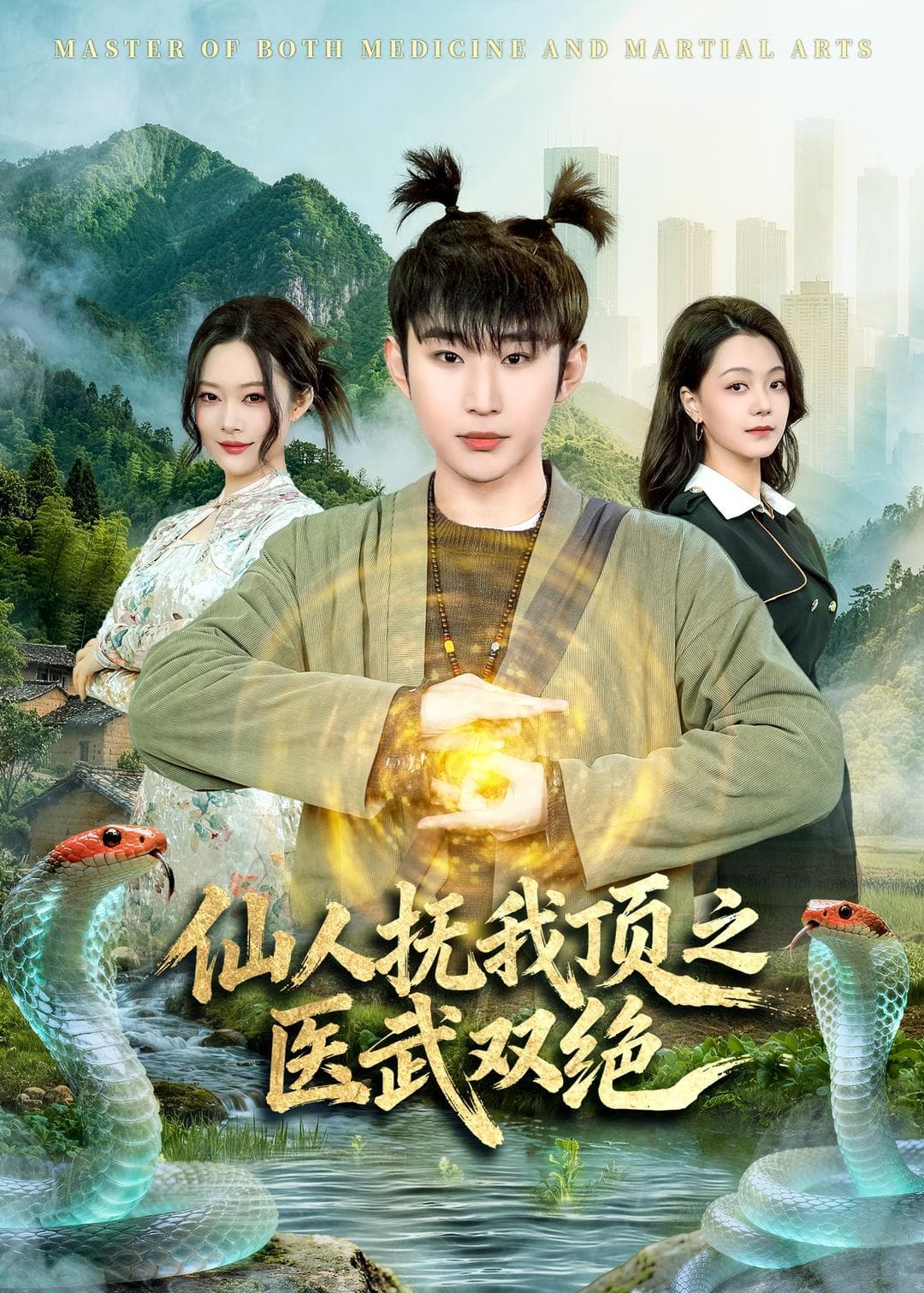 仙人抚我顶之医武双绝海报