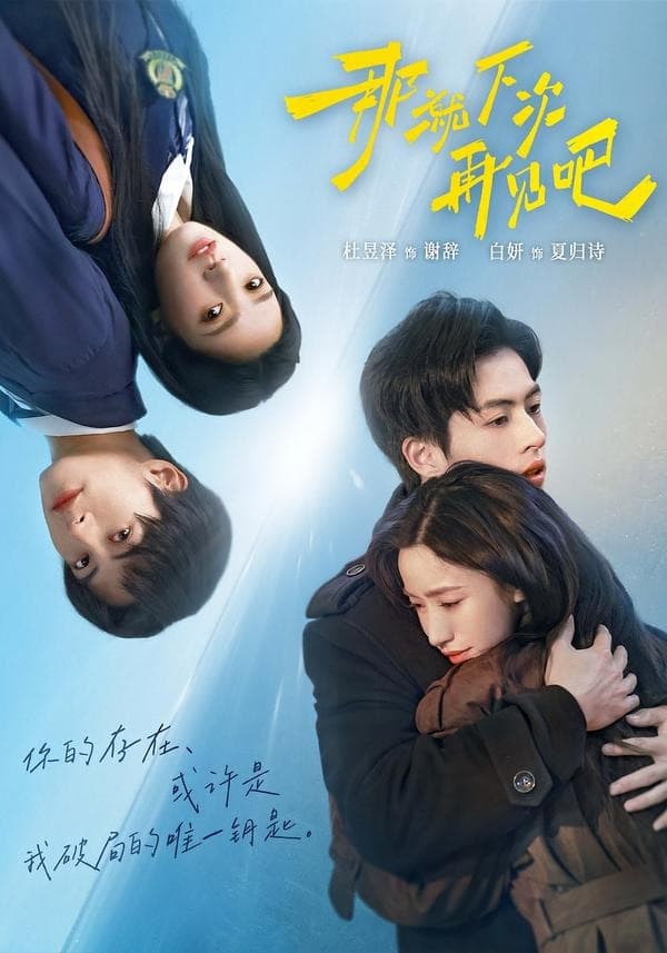 那就下次再见吧海报