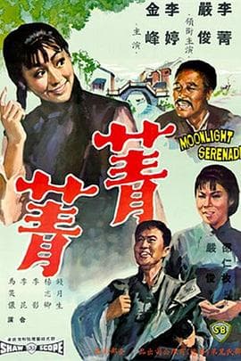 菁菁海报