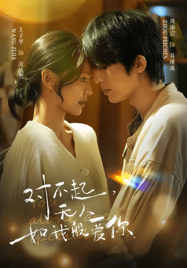 对不起，无人如我般爱你海报