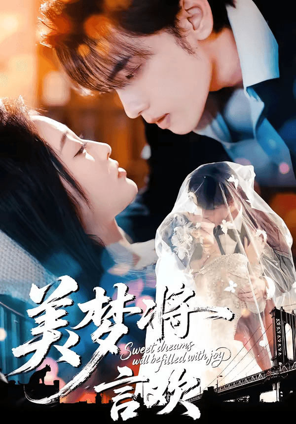 美梦将言欢海报