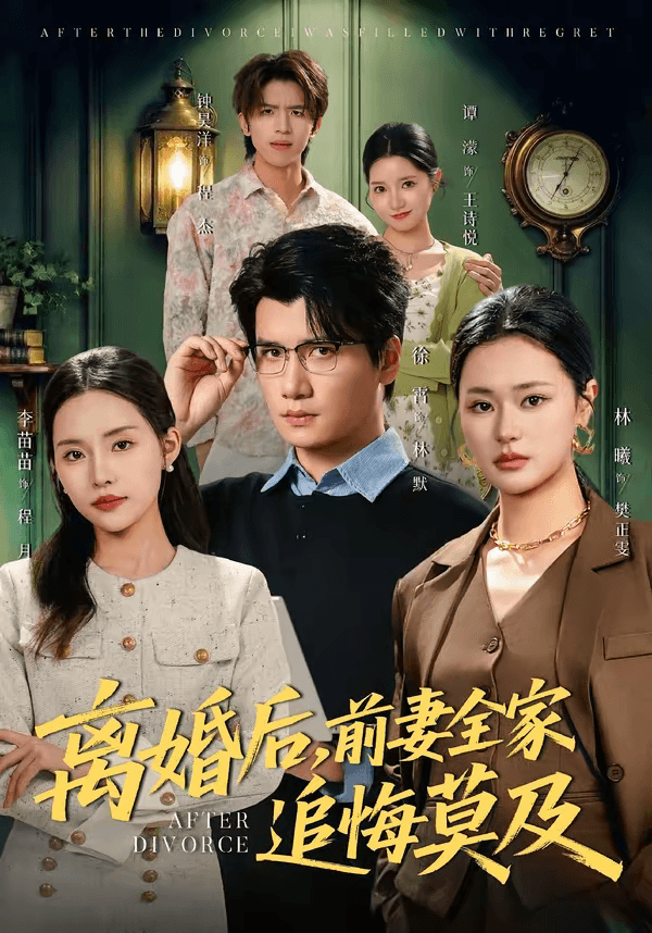 离婚后，前妻全家追悔莫及海报