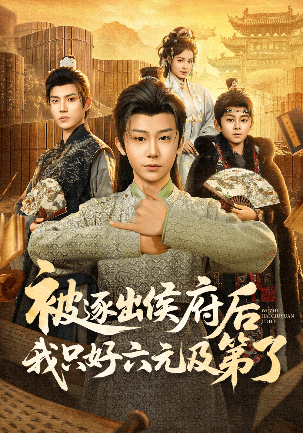 被逐出侯府后我只好六元及第了海报