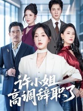 许小姐 高调辞职了海报