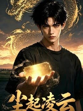 尘起凌云海报