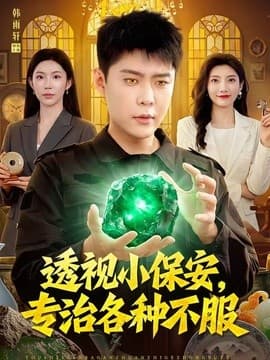透视小保安，专治各种不服第海报