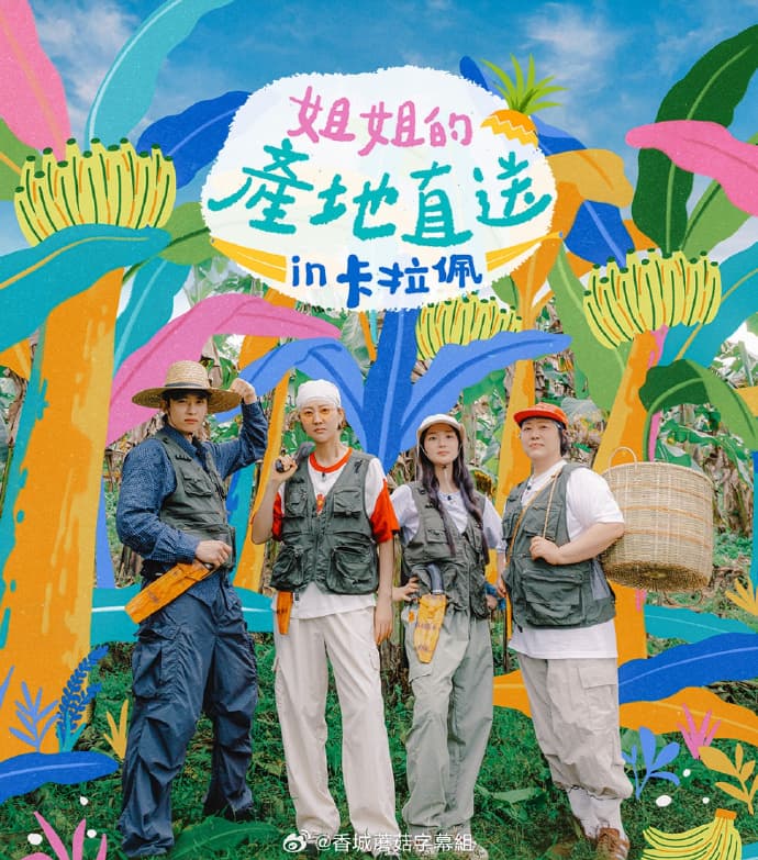 姐姐的产地直送in卡拉佩海报